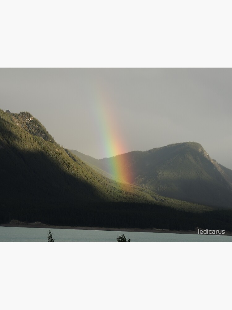 Rainbow Dreams by ledicarus