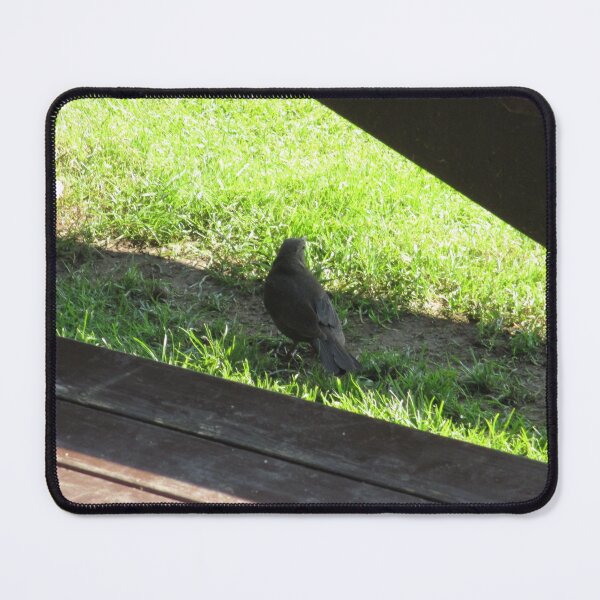 Item preview, #149 |☼| Bird Beneath Bench - Shot 1 (Hadrian's Wall) designed and sold by Naean H.F. (Nez Man).