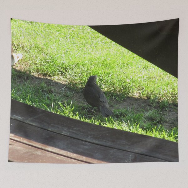 Item preview, #149 |☼| Bird Beneath Bench - Shot 1 (Hadrian's Wall) designed and sold by Naean H.F. (Nez Man).