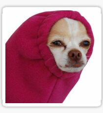 Chihuahua Sticker