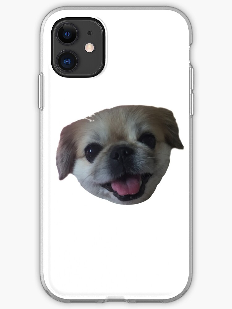 lucy furreal friends