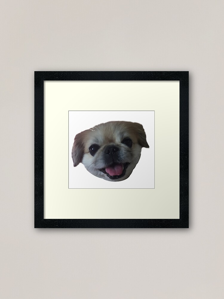 lucy furreal friends