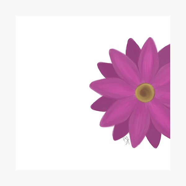 Gerbera Photographic Prints for Sale | Redbubble