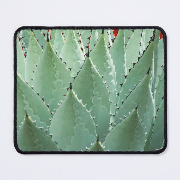 Item preview, Agave Cactus (pre-tequila) designed and sold by William E Lopez.