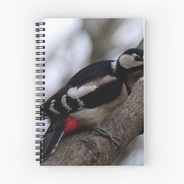 Item preview, woodpecker designed and sold by KathleenDawson.