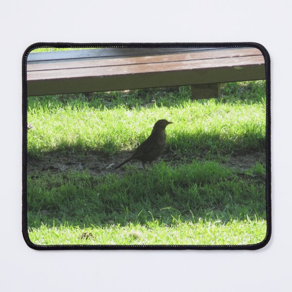 Item preview, #150 |☼| Bird Beneath Bench - Shot 2 (Hadrian's Wall) designed and sold by Naean H.F. (Nez Man).