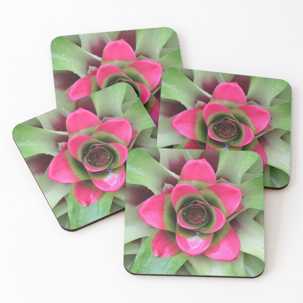 Item preview, Pink bromeliad designed and sold by greentiger1.