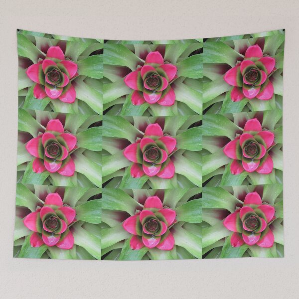 Item preview, Pink bromeliad designed and sold by greentiger1.
