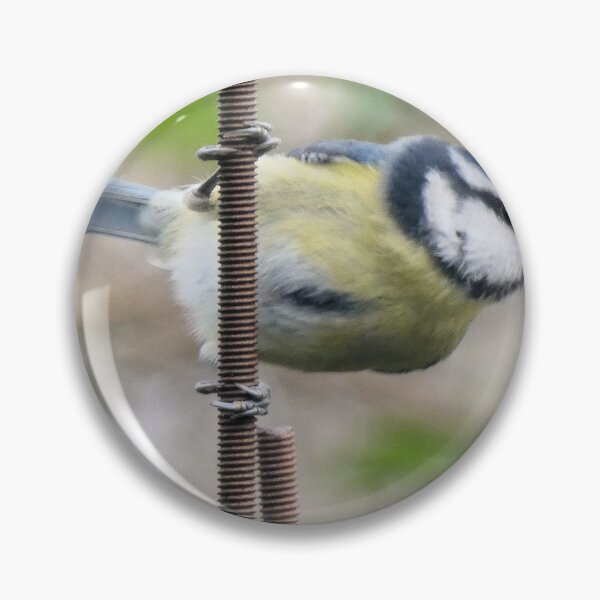 Item preview, blue tit designed and sold by KathleenDawson.