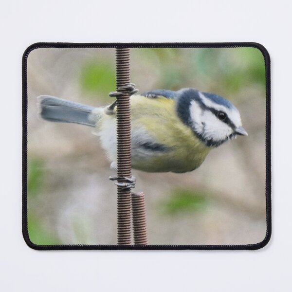 Item preview, blue tit designed and sold by KathleenDawson.