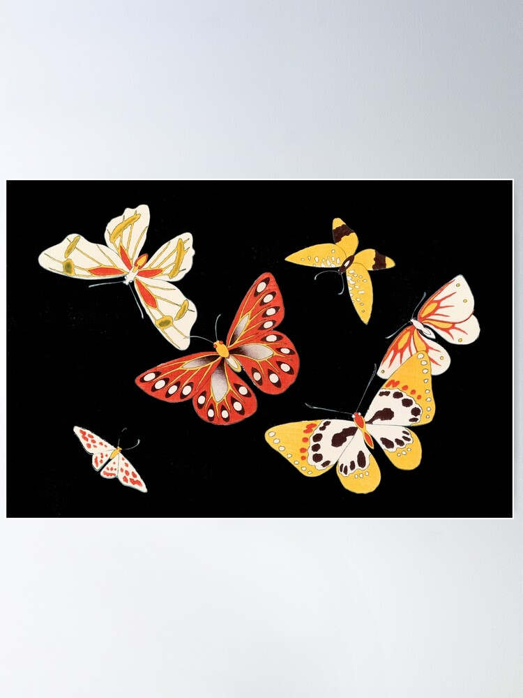oldsea MIYABI × antique butterfly il_fullxfull.