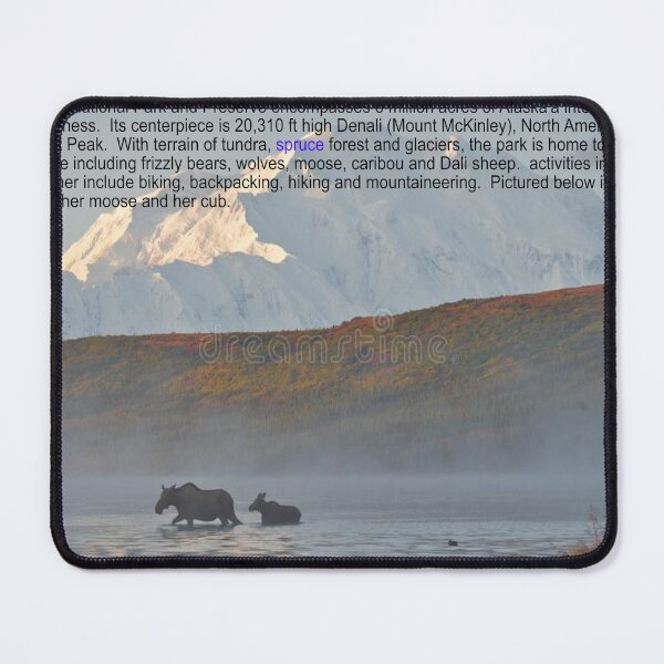 Item preview, Denali Park Art designed and sold by Alicefish.