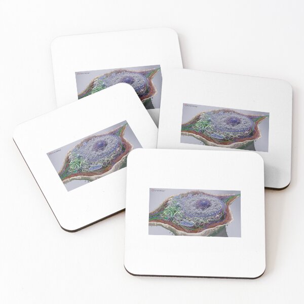 Item preview, Eukaryotic Cell  designed and sold by stcherish.