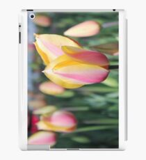 Springtime Tulips iPad Case/Skin