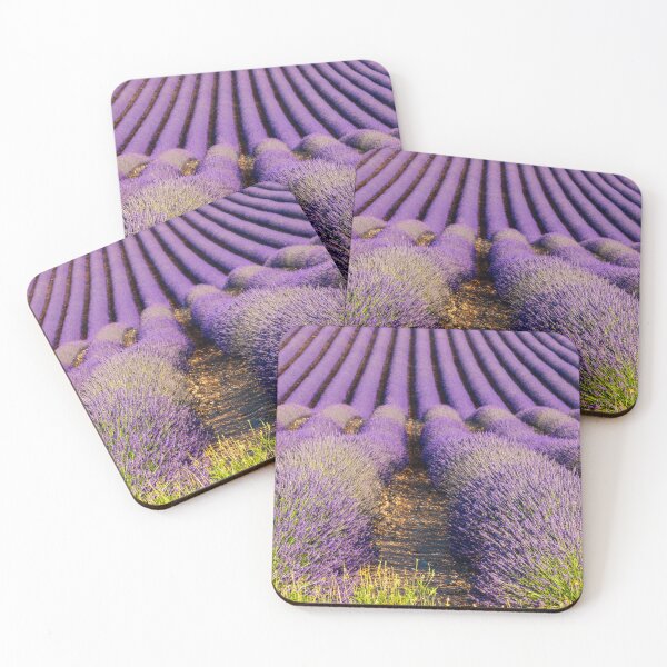 Item preview, Lavender fields in Provence designed and sold by pietrofoto.
