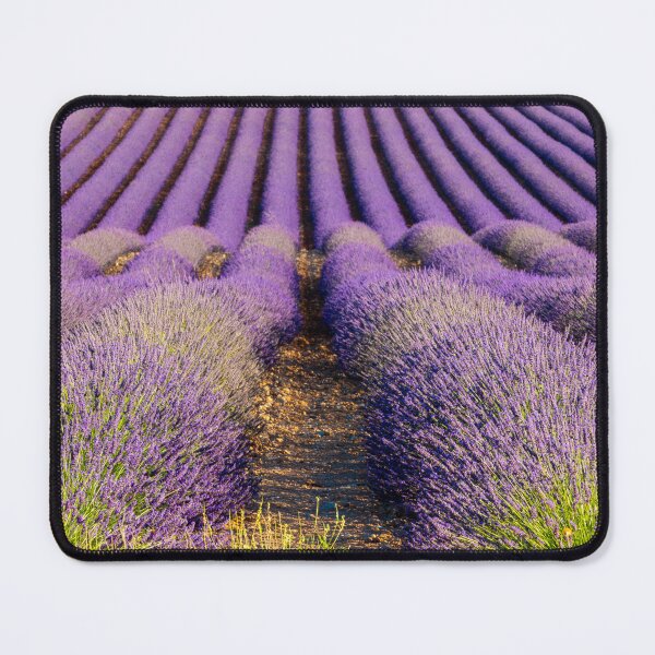 Item preview, Lavender fields in Provence designed and sold by pietrofoto.