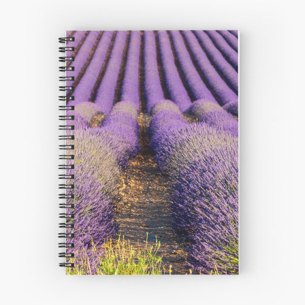 Item preview, Lavender fields in Provence designed and sold by pietrofoto.