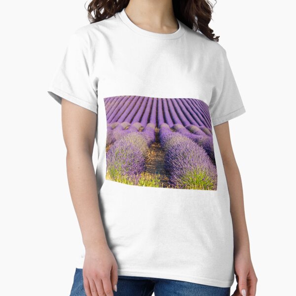 Lavender fields in Provence Classic T-Shirt