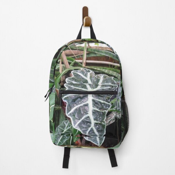 Item preview, Alocasia amazonica designed and sold by greentiger1.
