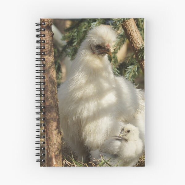 Item preview, hen with chicks designed and sold by Lalingla.