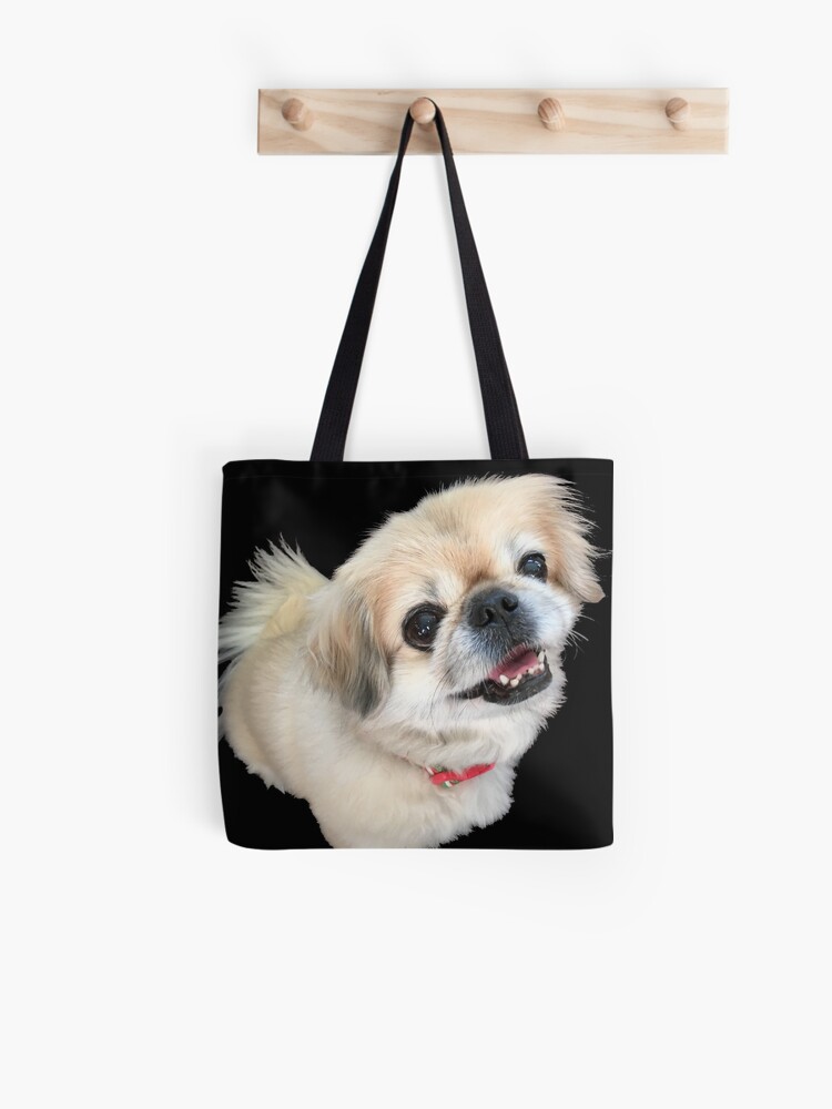 lucy furreal friends