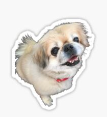 Lucy fur Real - adorable pekingese dog Sticker