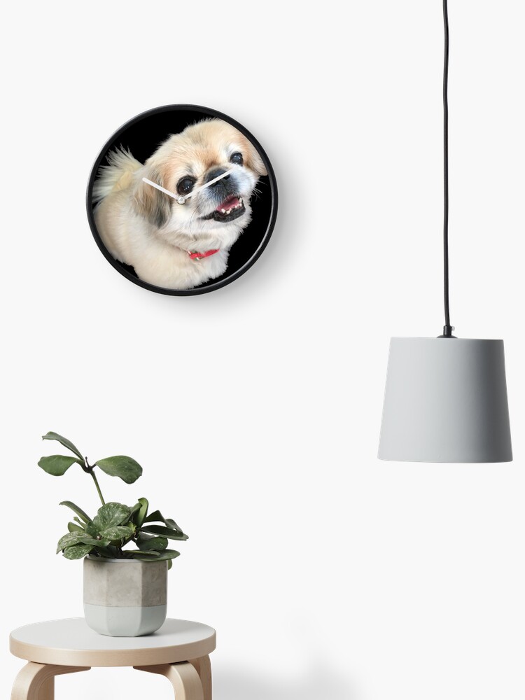 lucy furreal friends