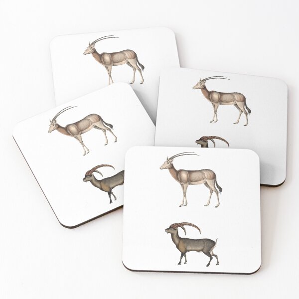 Item preview, Horned Animals Sticker Set 1 designed and sold by thatsit-itslit.