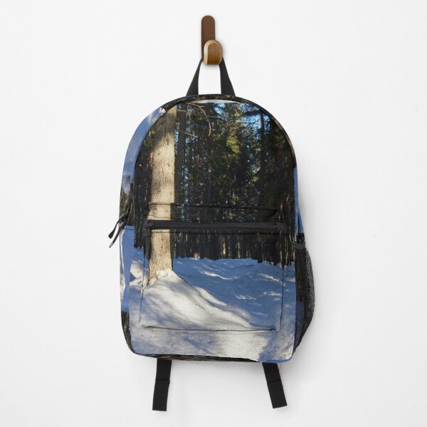 Item preview, The Path through Snow. Seitseminen March 2022 designed and sold by Jouko Lehto Photography.
