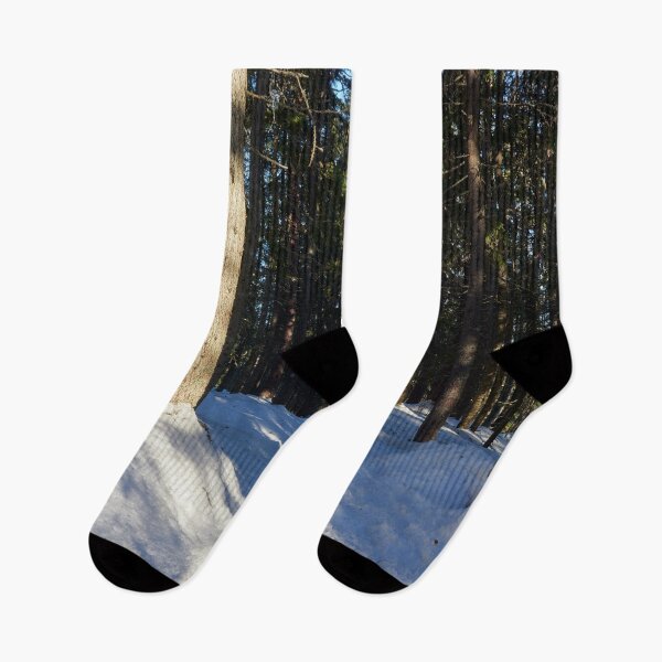 Item preview, The Path through Snow. Seitseminen March 2022 designed and sold by Jouko Lehto Photography.
