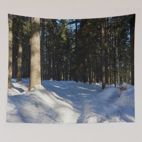 Item preview, The Path through Snow. Seitseminen March 2022 designed and sold by Jouko Lehto Photography.