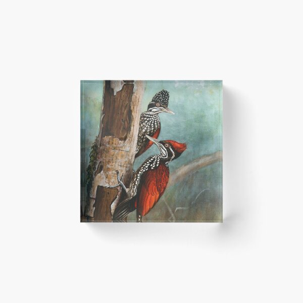 Item preview, Crimson-backed Woodpecker designed and sold by linggalibrary.