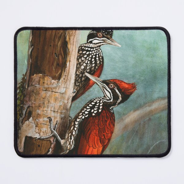 Item preview, Crimson-backed Woodpecker designed and sold by linggalibrary.