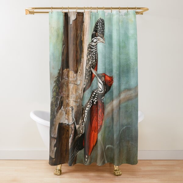 Item preview, Crimson-backed Woodpecker designed and sold by linggalibrary.