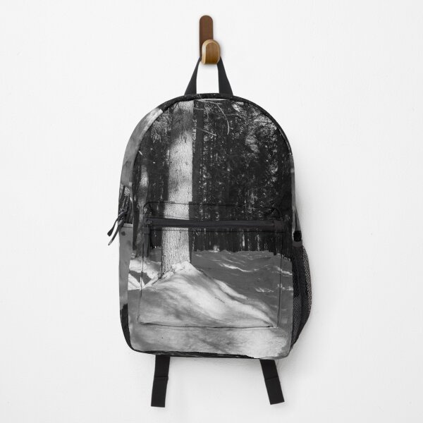 Item preview, The Path through Snow bw. Seitseminen March 2022 designed and sold by Jouko Lehto Photography.