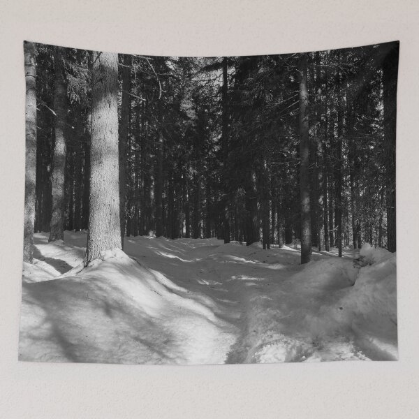 Item preview, The Path through Snow bw. Seitseminen March 2022 designed and sold by Jouko Lehto Photography.
