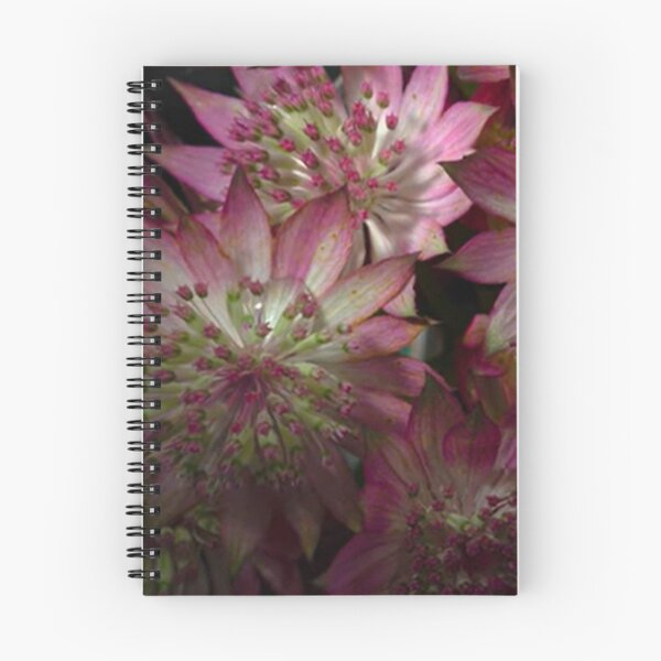Item preview, flowers designed and sold by ritusdesigns.