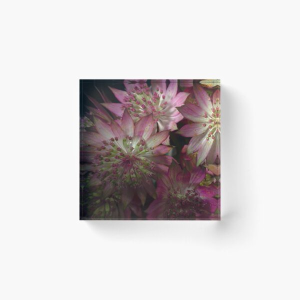 Item preview, flowers designed and sold by ritusdesigns.