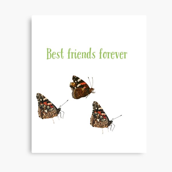 Best friends forever funny butterfly love Impression sur toile