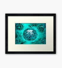 Group of H5N1 virus with glassy view. Framed Print