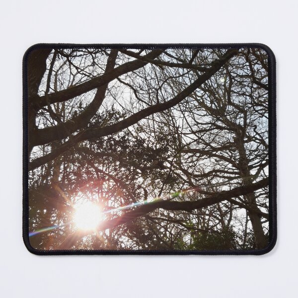 Item preview, Sun Through Branches designed and sold by amanda150771.