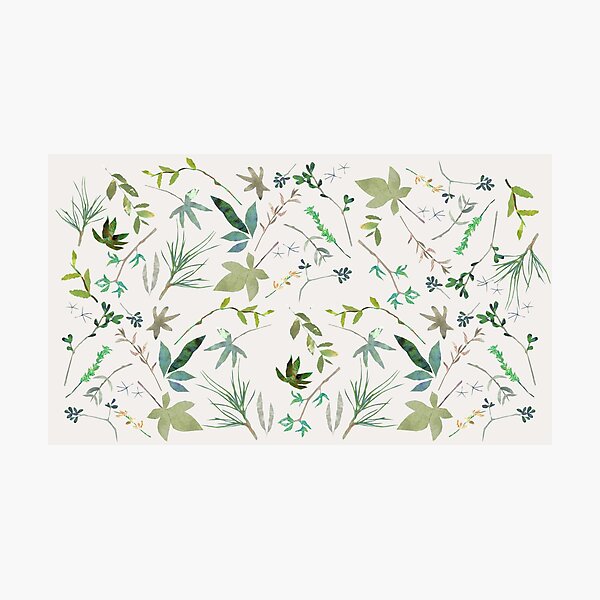 Foliage Photographic Print