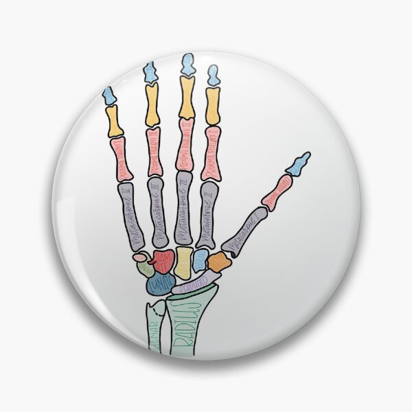 Item preview, Anatomy of Bones Hand designed and sold by Ra-design30.