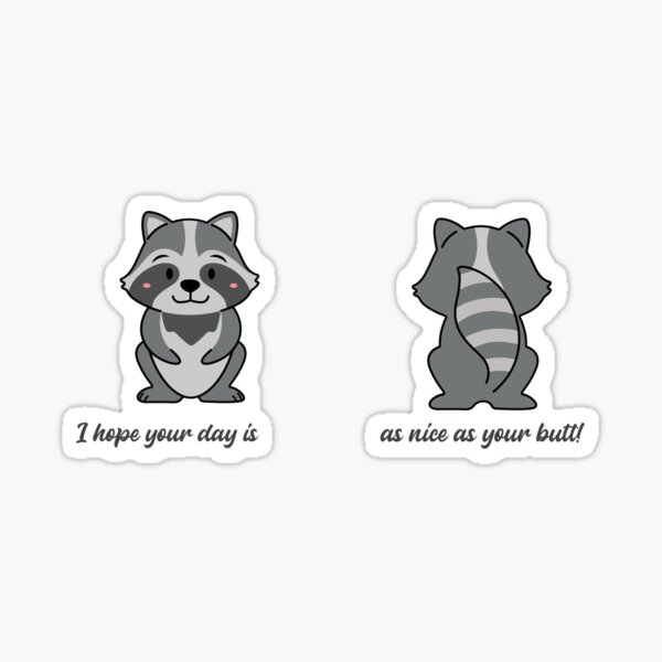 Beer Bandit Raccoon Sticker – FlynHats