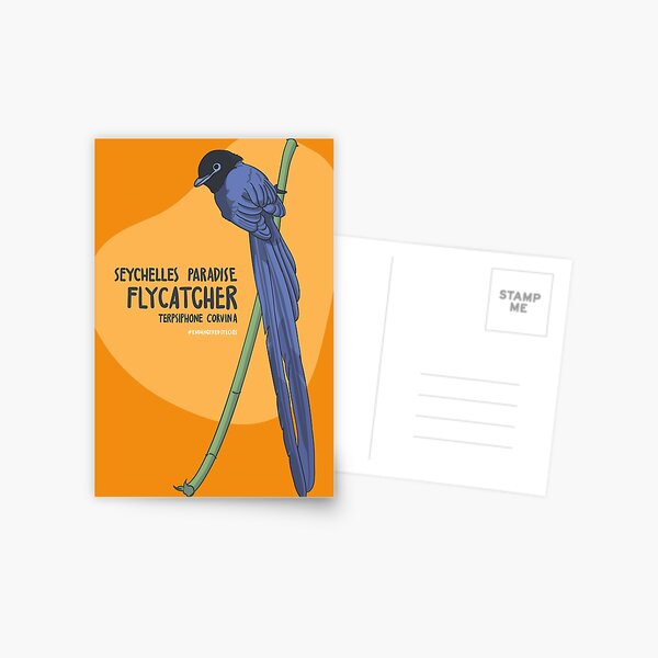 Item preview, The Seychelles Paradise Flycatcher designed and sold by Gernatatiti.
