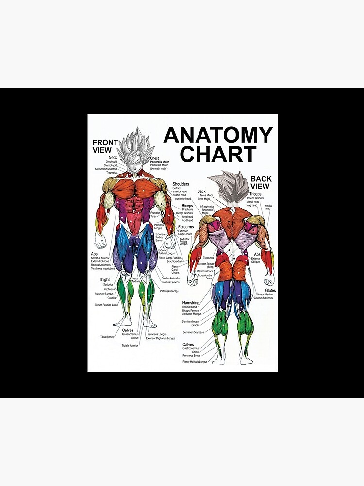 Saiyan Anatomy Chart Muscle Diagram Anime Workout Classic Tapestry By Middlsier Redbubble