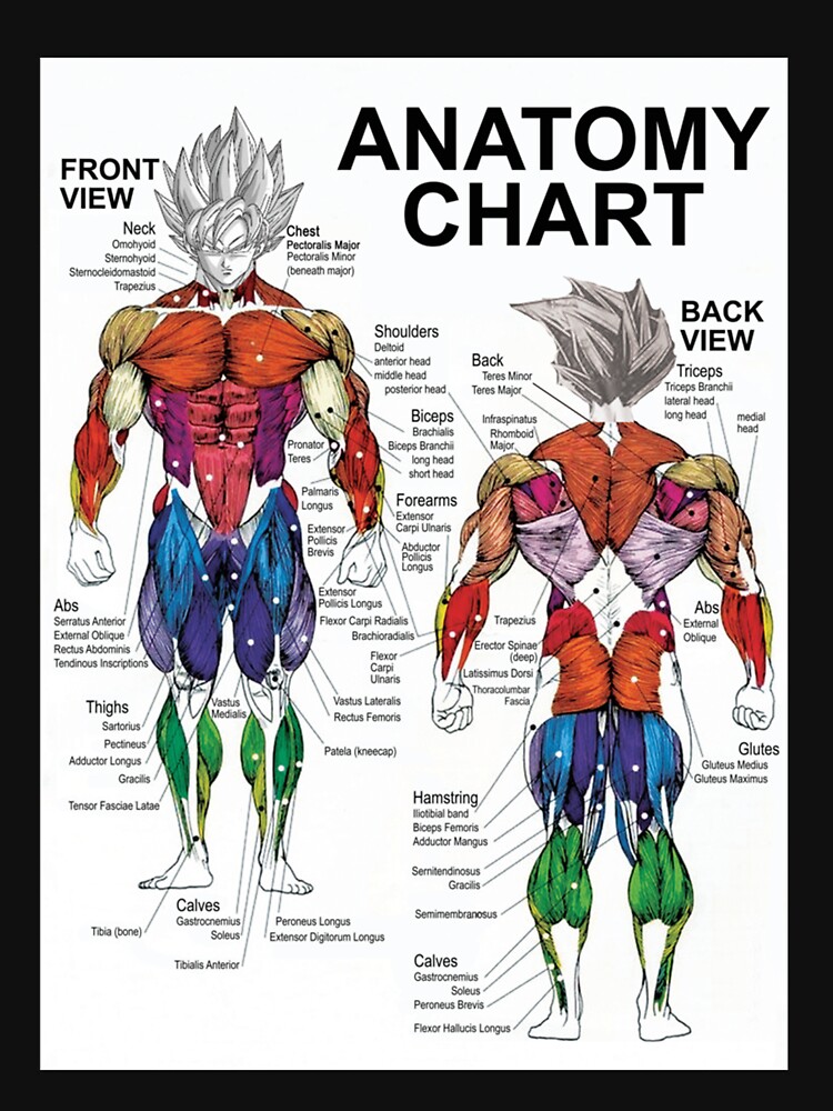 Details 72+ anime character workouts - in.cdgdbentre