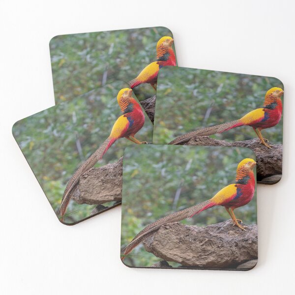 Item preview, golden pheasant  designed and sold by ritusdesigns.