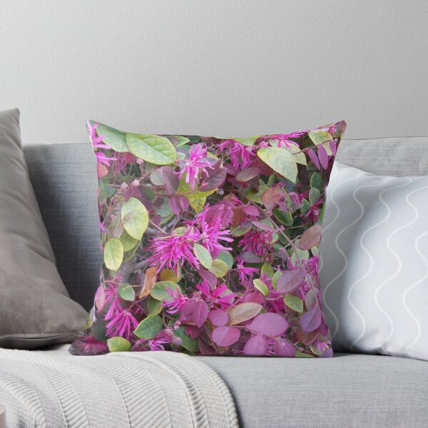 Artikelvorschau, Rosa chinesische Fringe Blumen entworfen und verkauft von Robedha.