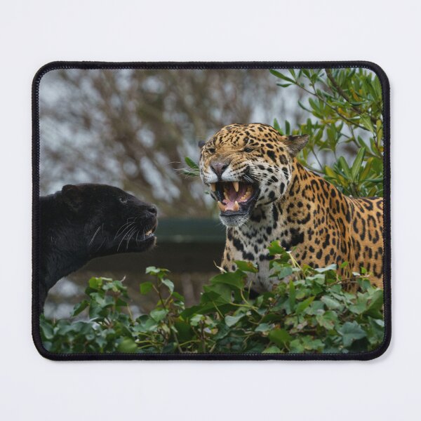 Item preview, Jaguar Growl designed and sold by rawshutterbug.